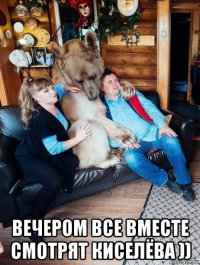  вечером все вместе смотрят киселёва ))