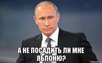  а не посадить ли мне яблоню?