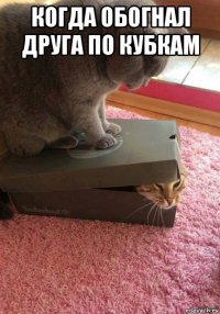 когда обогнал друга по кубкам 