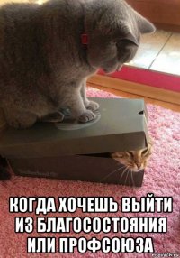  когда хочешь выйти из благосостояния или профсоюза