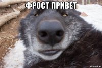 фрост привет 