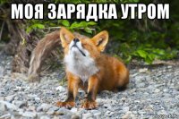 моя зарядка утром 