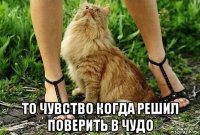  то чувство когда решил поверить в чудо