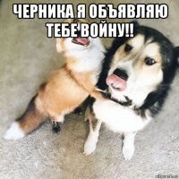 черника я объявляю тебе войну!! 