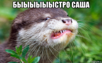 быыыыыыстро саша 