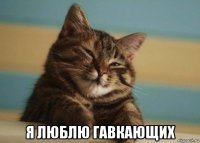  я люблю гавкающих