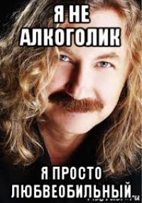я не алкоголик я просто любвеобильный