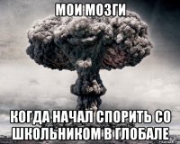 мои мозги когда начал спорить со школьником в глобале