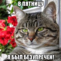в пятницу я был безупречен!