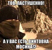тов. пастушенко! а у вас есть винтовка мосина!?