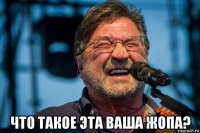  что такое эта ваша жопа?