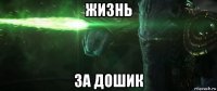 жизнь за дошик