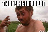 типичный укроп 