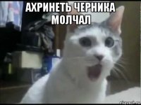 ахринеть черника молчал 