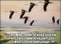  — сину мій єдиний! не йди в далекій край, бо він чужий, не кидай рідну землю, бо вона найрідніша!