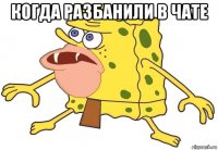 когда разбанили в чате 