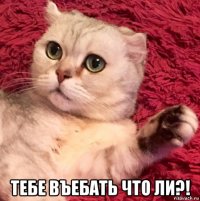  тебе въебать что ли?!