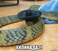  хилинада?!