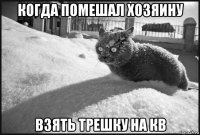 когда помешал хозяину взять трешку на кв