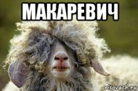 макаревич 