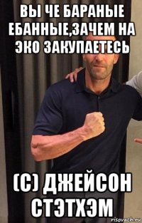 вы че бараные ебанные,зачем на эко закупаетесь (с) джейсон стэтхэм