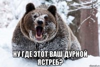  ну где этот ваш дурной ястреб?