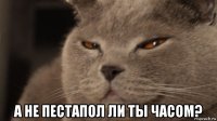 а не пестапол ли ты часом?