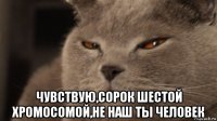  чувствую,сорок шестой хромосомой,не наш ты человек
