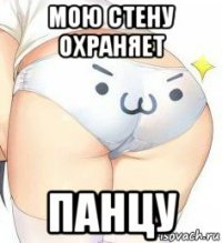мою стену охраняет панцу