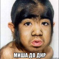  миша до днр