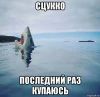 сцукко последний раз купаюсь