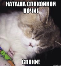 наташа спокойной ночи! споки!