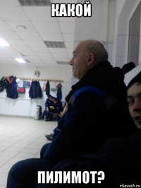 какой пилимот?