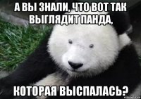 а вы знали, что вот так выглядит панда, которая выспалась?