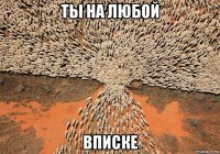 ты на любой вписке