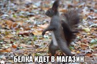  белка идет в магазин