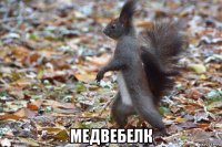  медвебелк