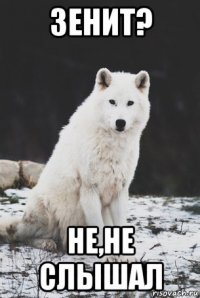 зенит? не,не слышал