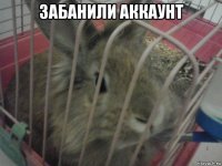 забанили аккаунт 