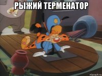 рыжий терменатор 