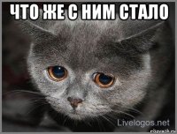 что же с ним стало 