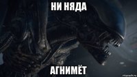 ни няда агнимёт