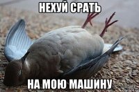 нехуй срать на мою машину