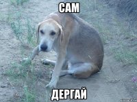сам дергай