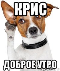 крис доброе утро