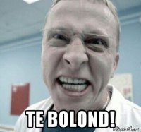  te bolond!