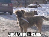  достал нож-режь