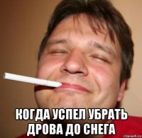  когда успел убрать дрова до снега