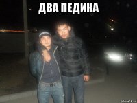 два педика 