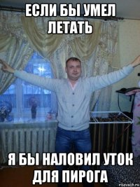 если бы умел летать я бы наловил уток для пирога